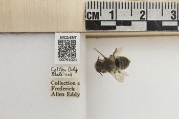 Media type: image;   Entomology 791021 Aspect: Labels